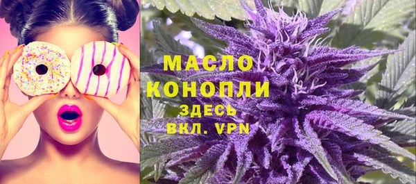 ALPHA PVP Чердынь