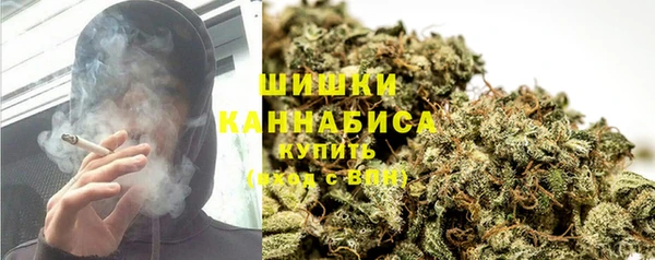 ALPHA PVP Чердынь