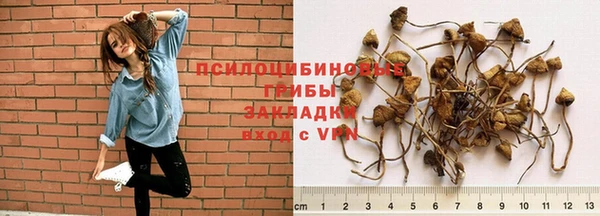 ECSTASY Куртамыш