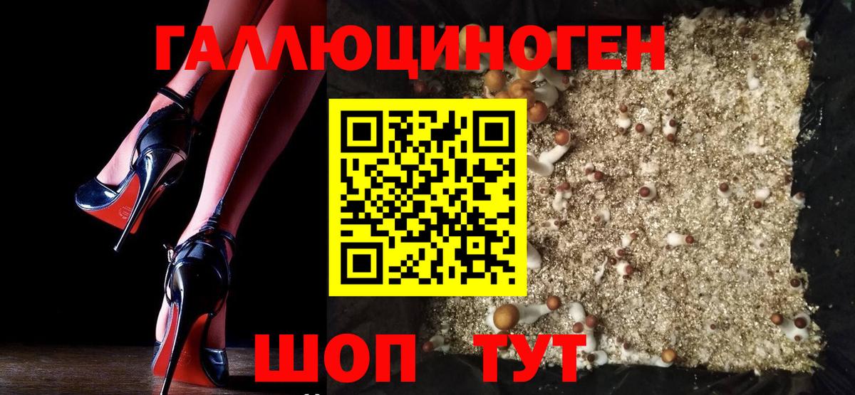 Галлюциногенные грибы Psilocybine cubensis  цены   Галлюциногенные грибы Psilocybe  Абинск  Вход с VPN 