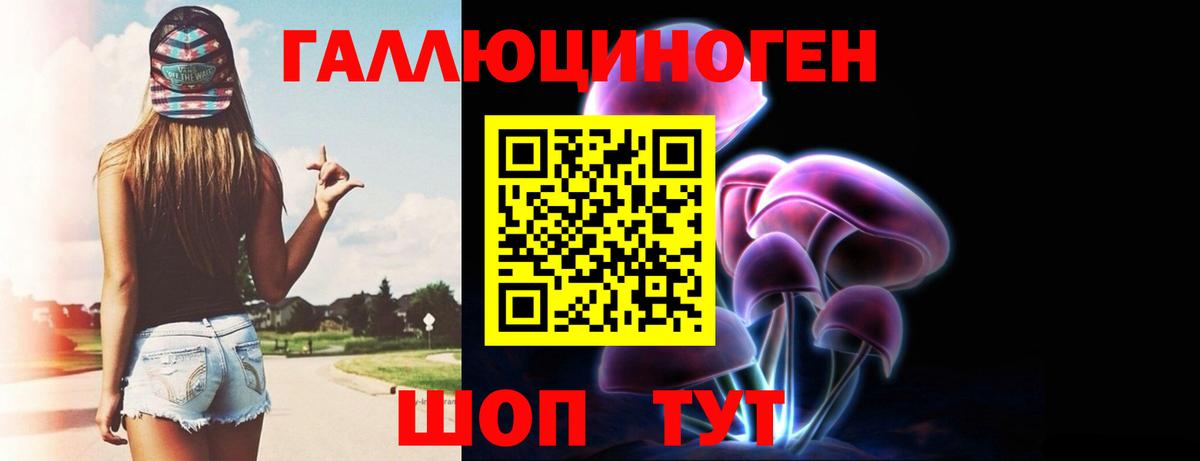 Галлюциногенные грибы Psilocybine cubensis Абинск